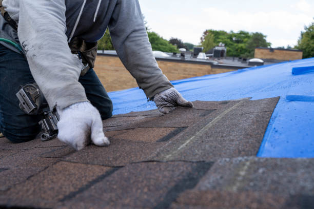 Best Storm Damage Roof Repair  in Harrington Park, NJ